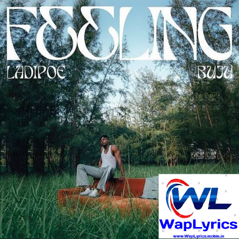 Ladipoe Ft Buju - Feeling (Lyrics)